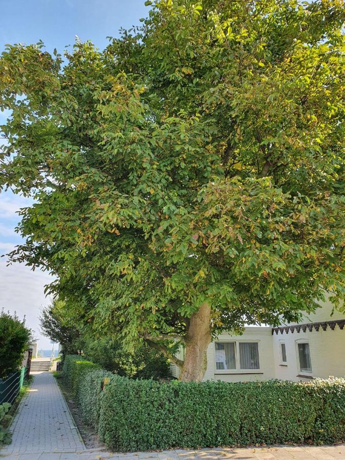 Apartmán Hagelstein IV "Feuerstein" Dahme  Exteriér fotografie
